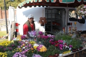 Blumenpracht auf dem Bauernmarkt