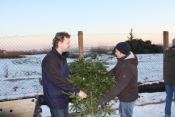 die DLRG Ortsgruppe Geiseltalsee e.V. steuerte auch Weihnachtsbäume bei